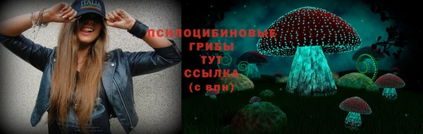 МДМА Богородицк