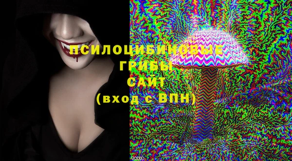 Альфа ПВП Пролетарск