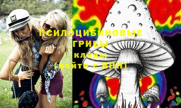 МДМА Богородицк
