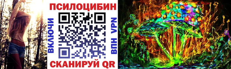 Псилоцибиновые грибы GOLDEN TEACHER купить наркотик даркнет формула Киреевск